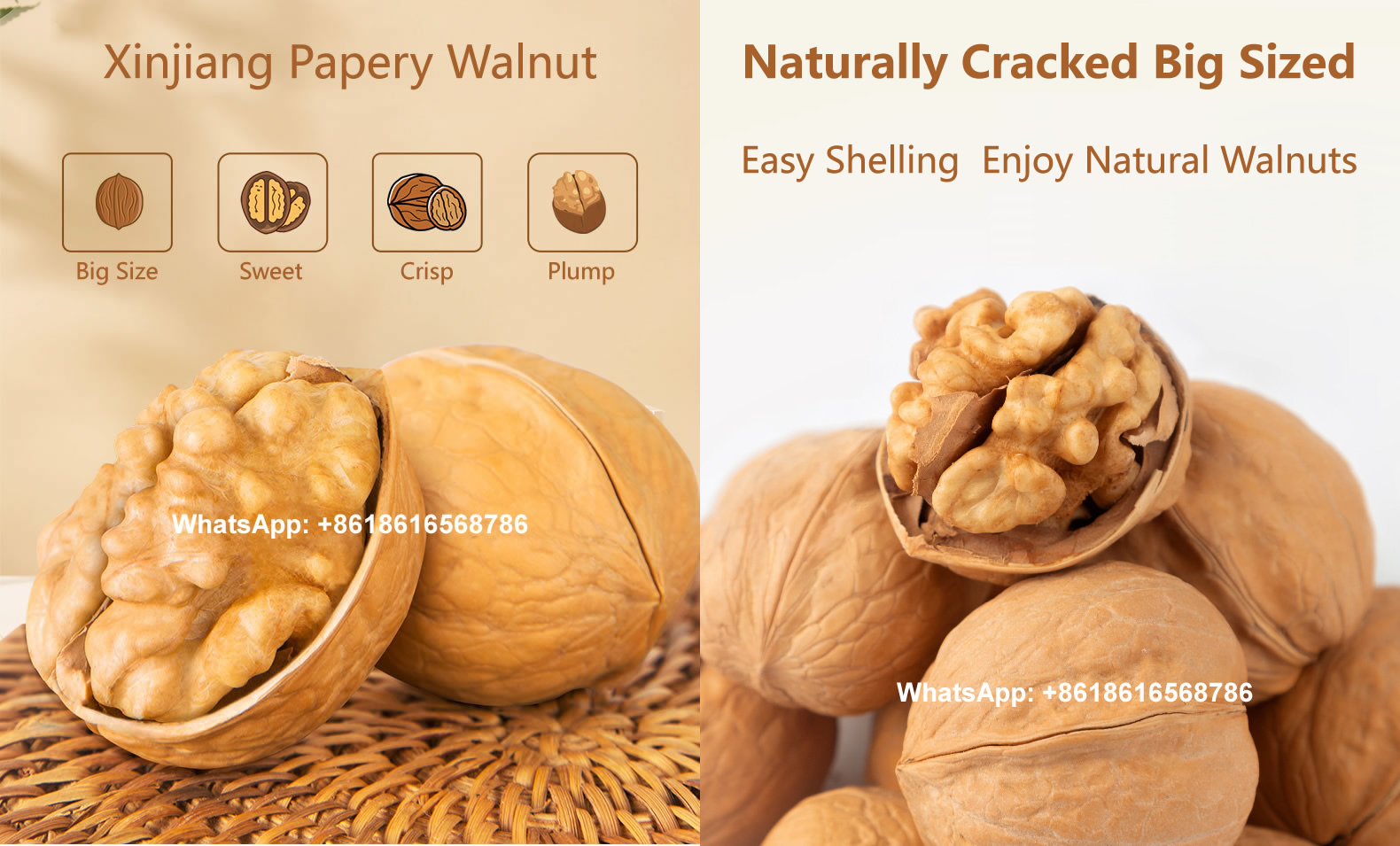 Xinjiang Walnuts in Chinese