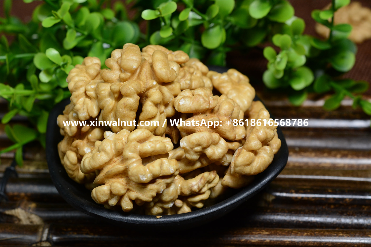 Xin185 Walnut Kernels Light Halves