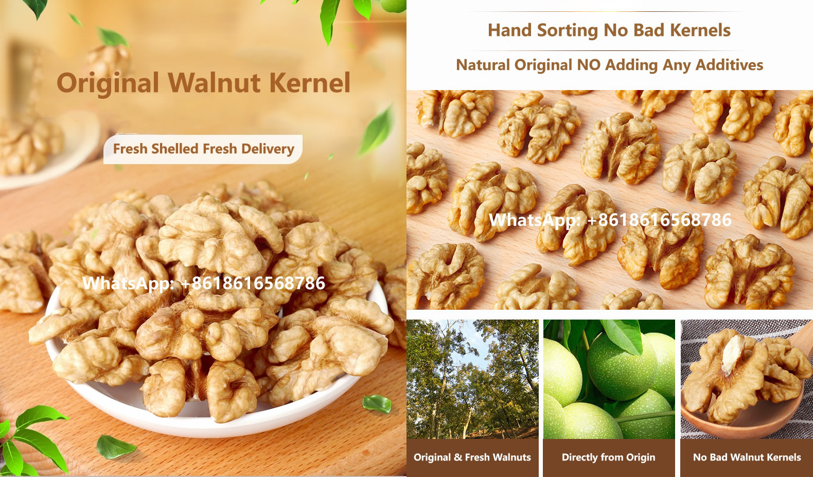 Xin185 Walnut Kernels Price Bulk