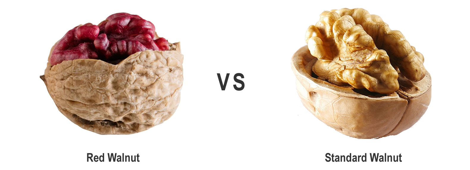 Red Walnuts VS Brown Walnuts