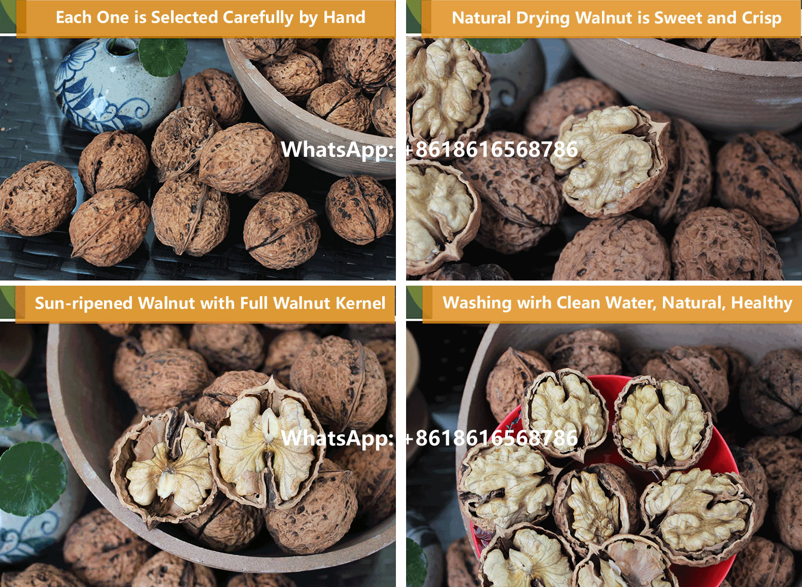 High Quality Yunnan Walnuts