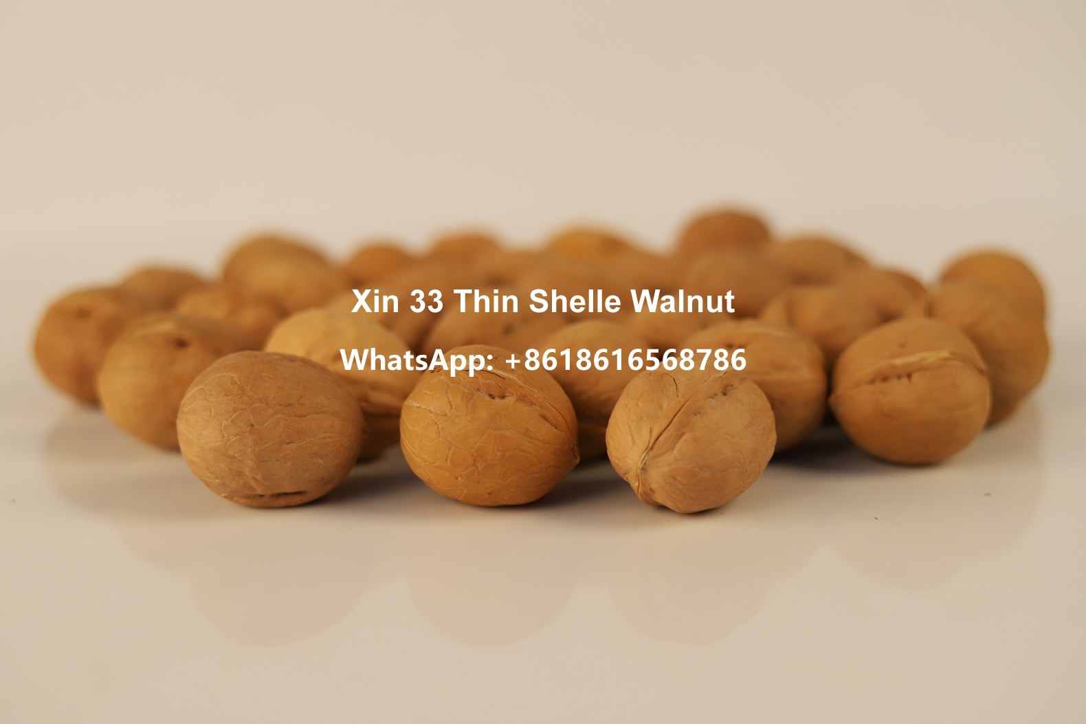 Xin185 Unshelled Walnuts