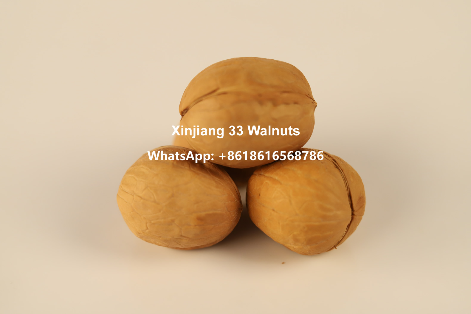 Xin185 New Crop Walnuts