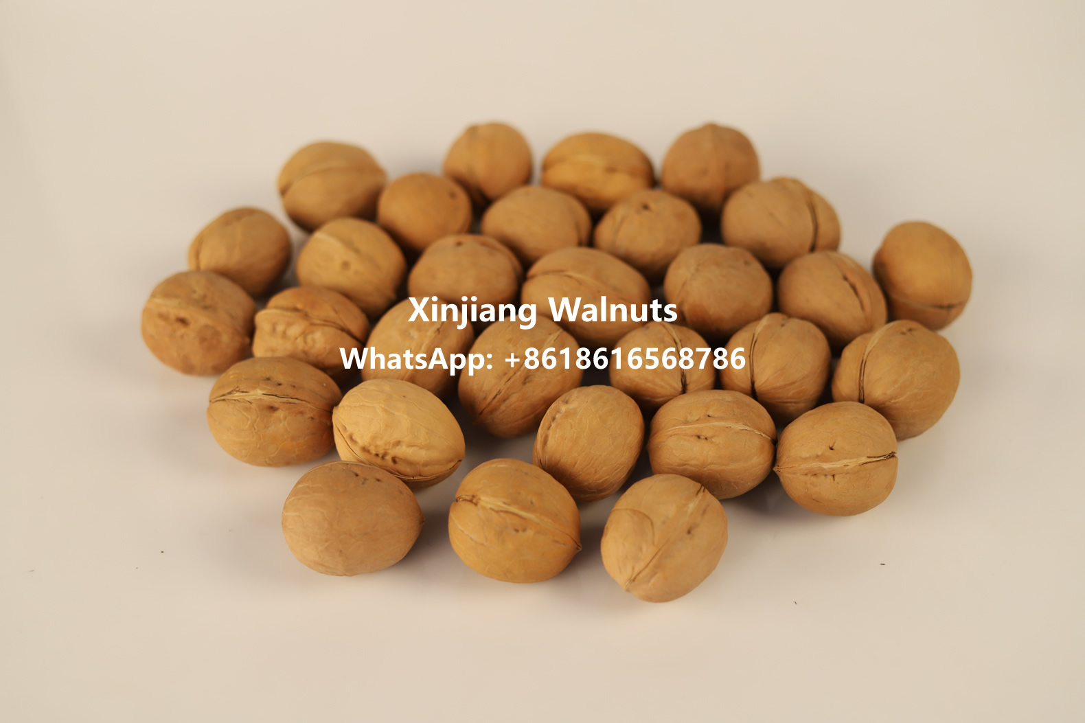 Xin33 Unshelled Walnuts