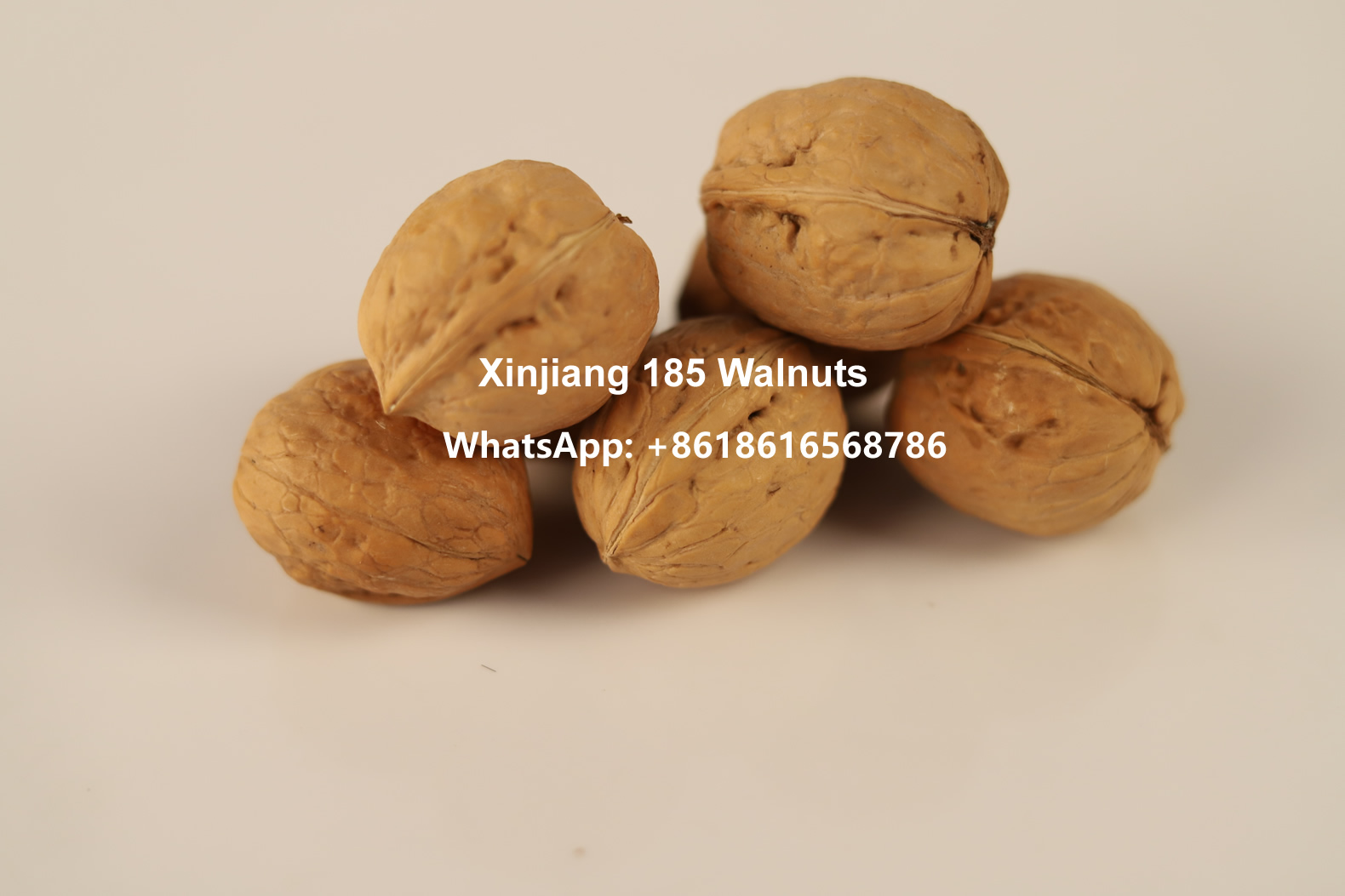 Xin185 New Crop Walnuts