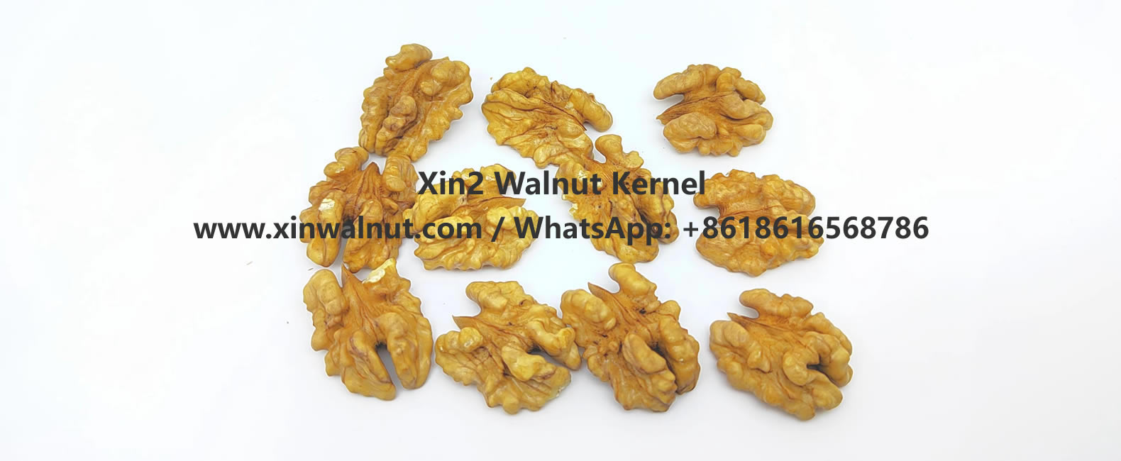 Xin2 walnut kernel light halves