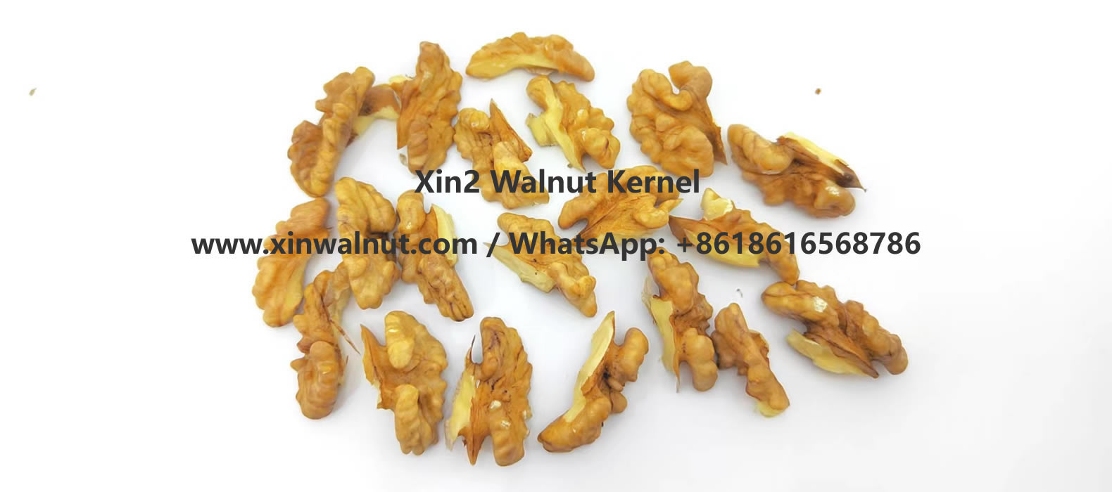 Xin2 walnut kernel light quarters