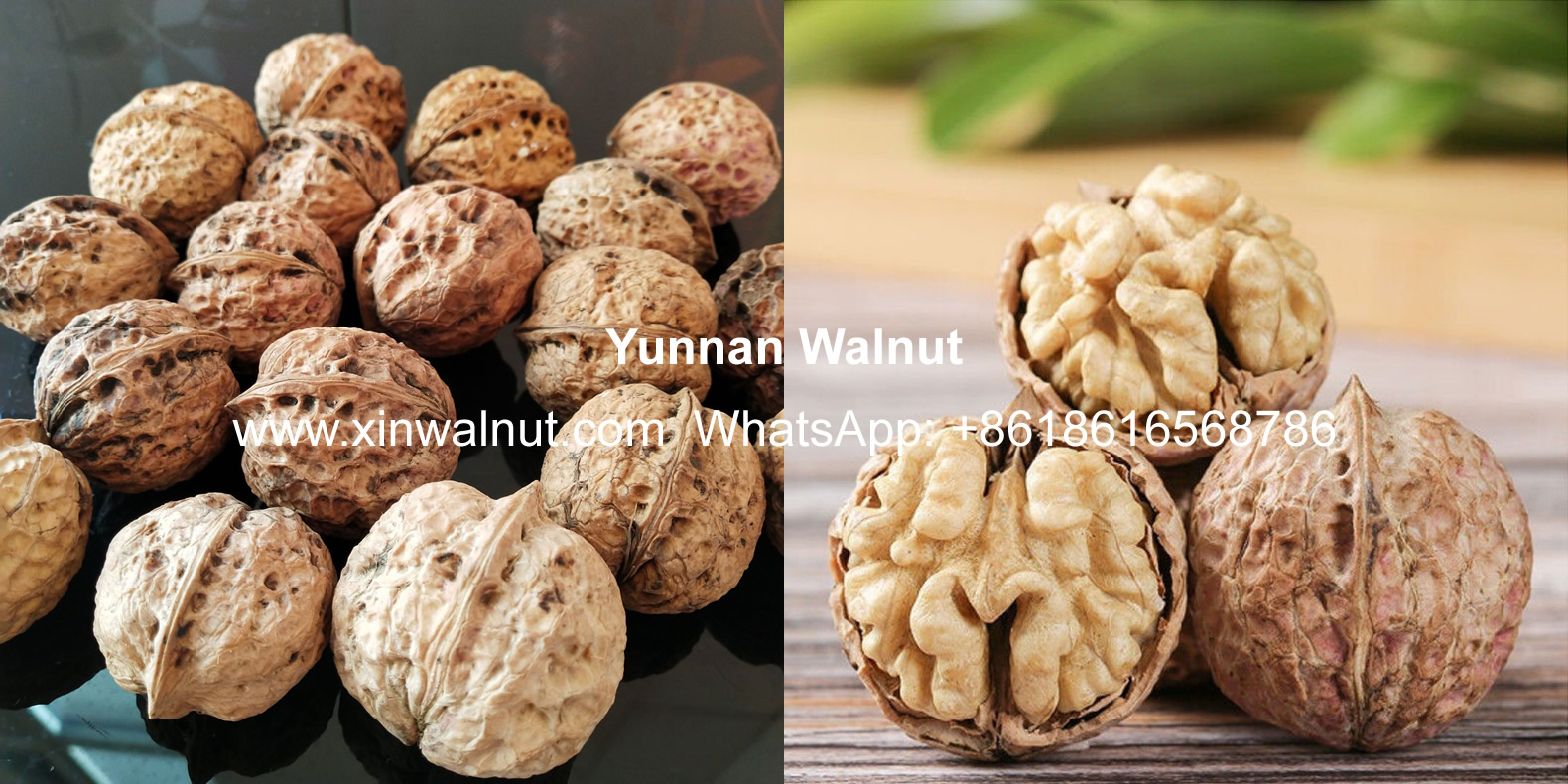 Yunnan Walnuts Inshell