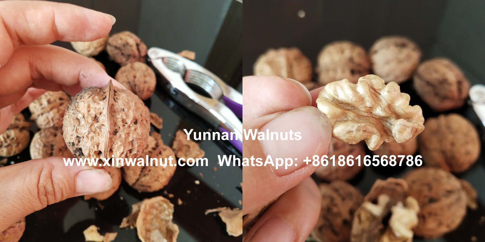 Yunnan Walnuts without Shell