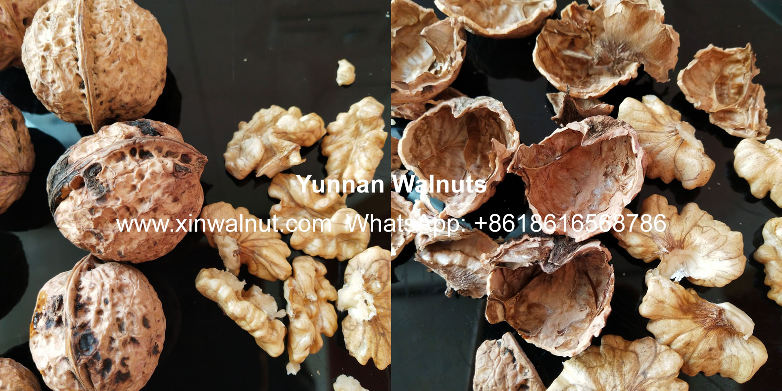 2022 New Crop Walnuts