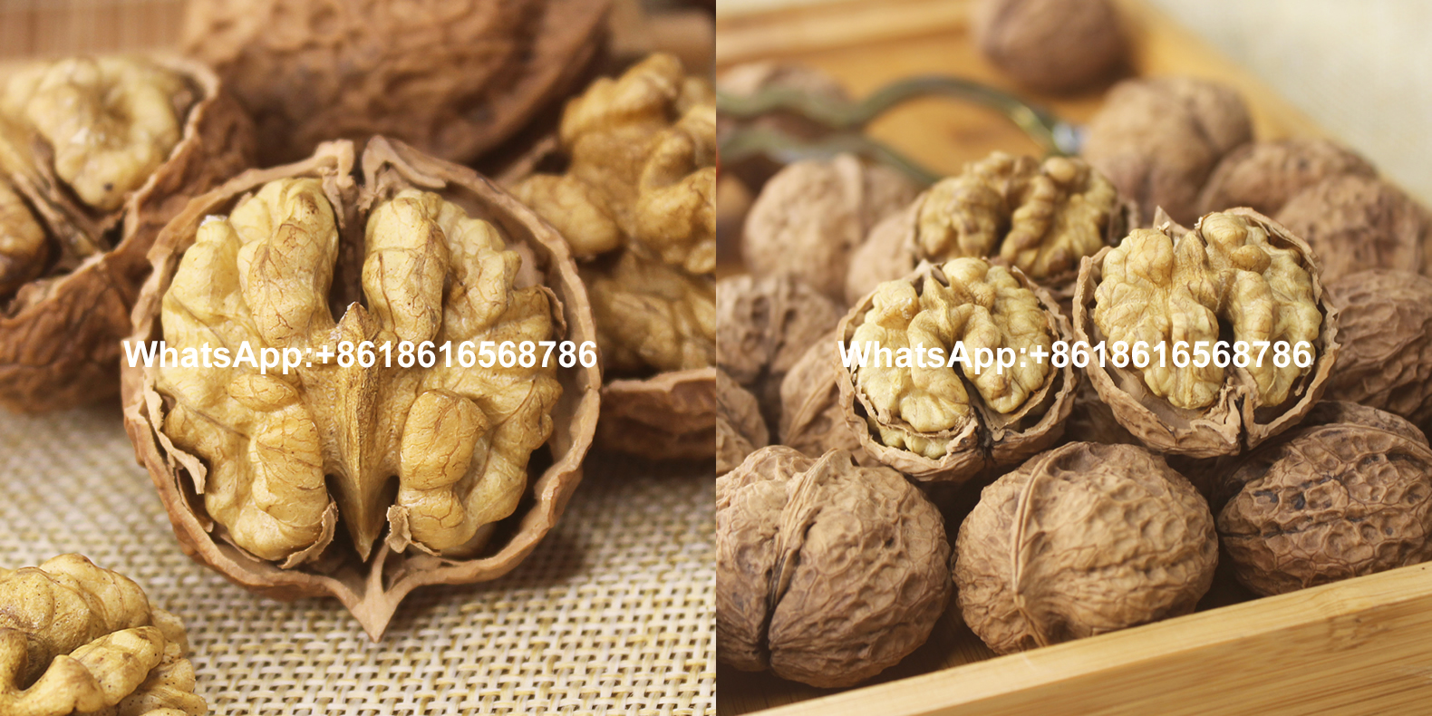 Yunnan Walnuts without Shell