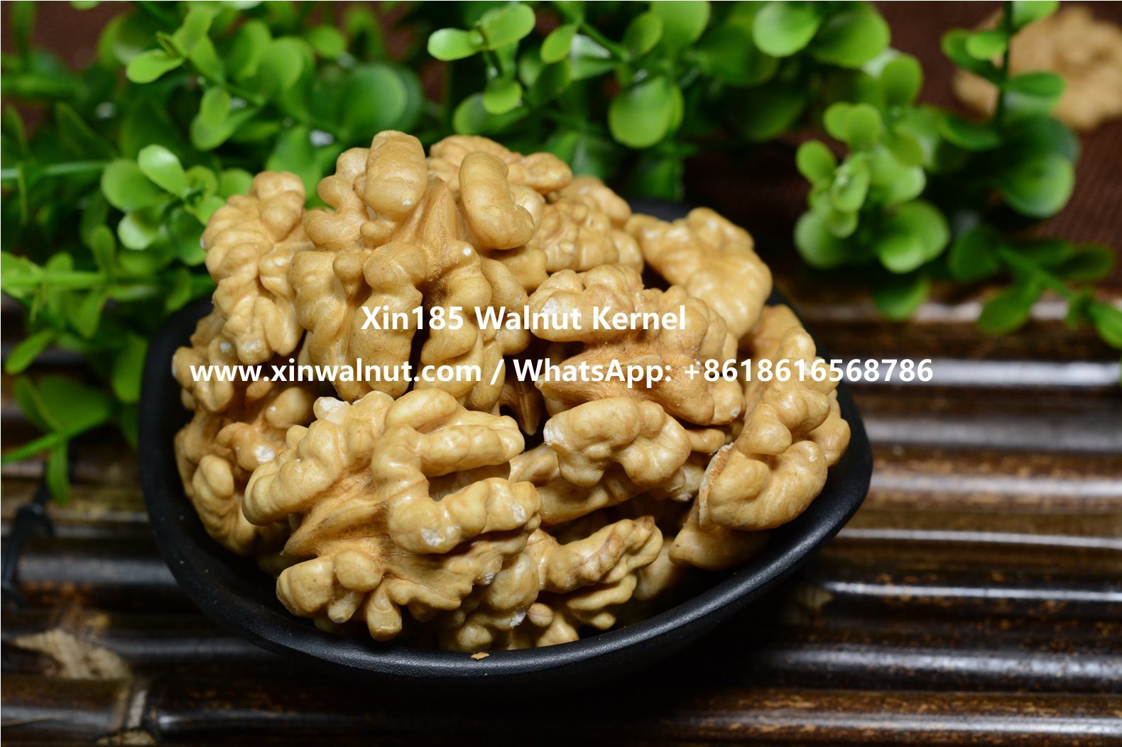 Xin185 Walnut Kernels Light Halves