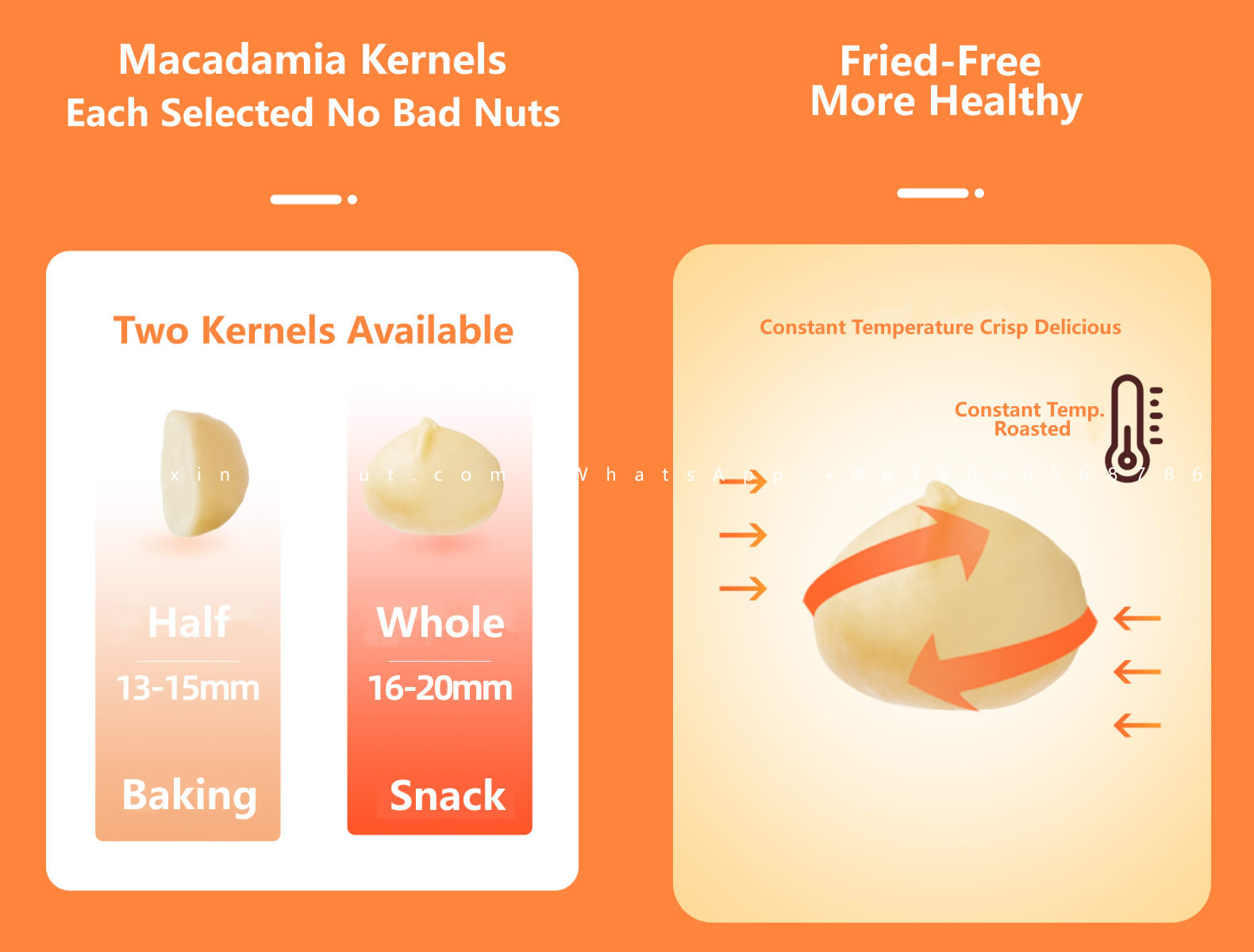 Macadamia Nuts Nutrition