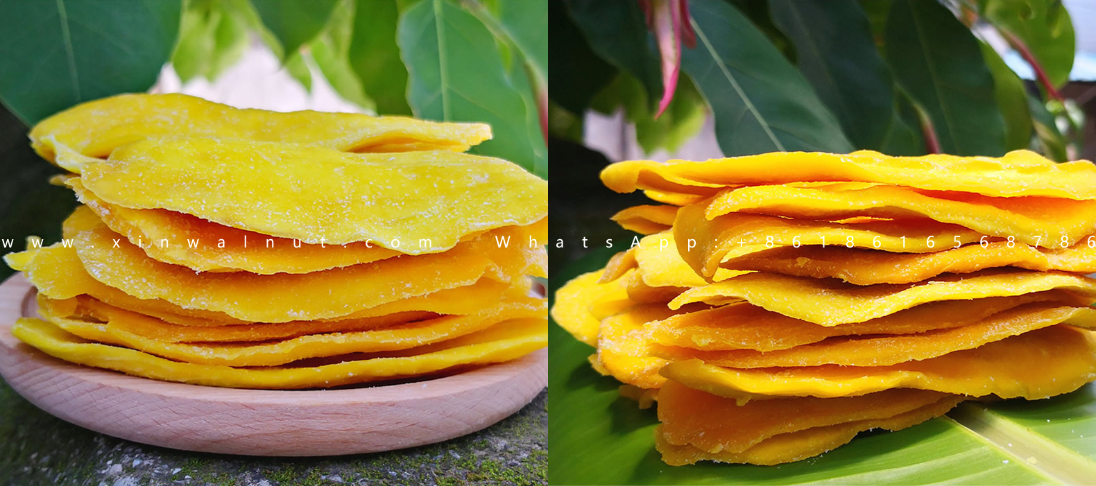 Dried Mango Nutrition