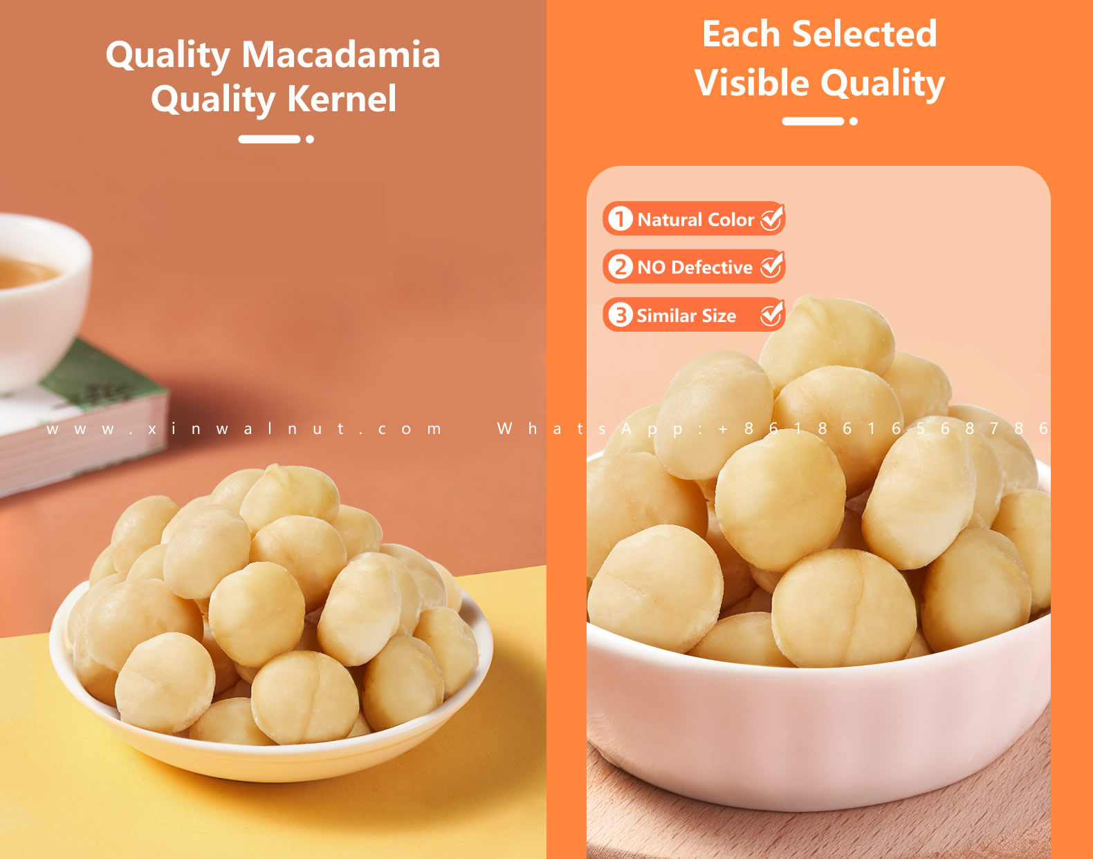 Macadamia Nuts Salted or Unsalted