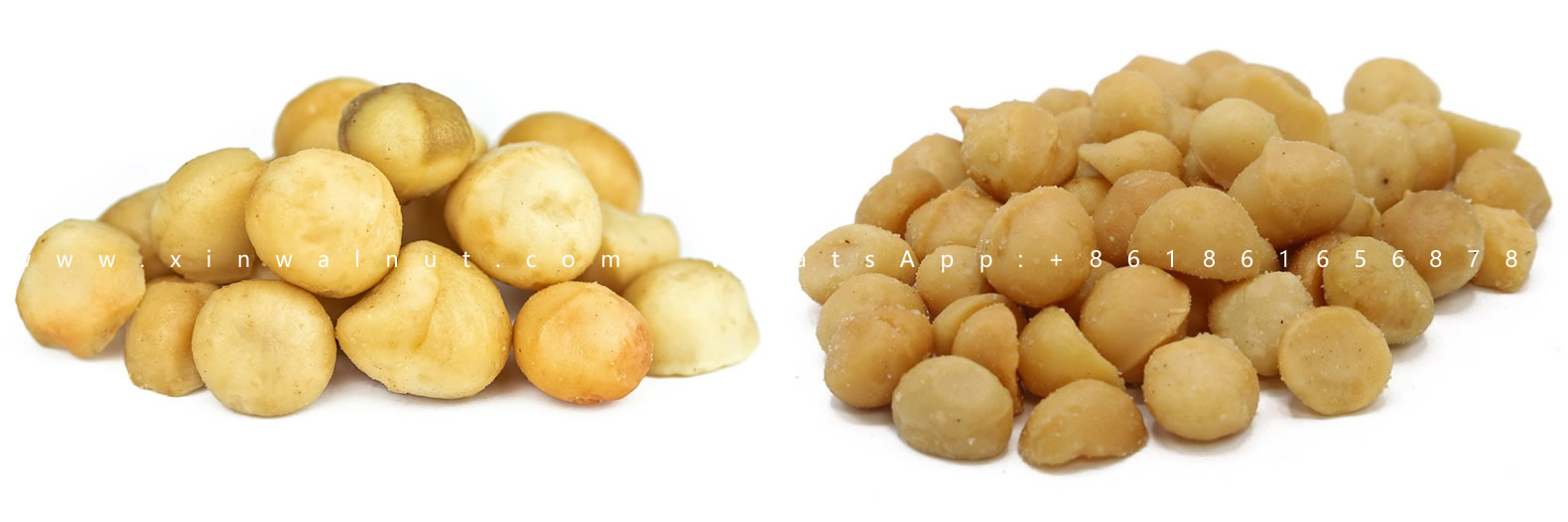 Roasted Macadamia Nuts Salted and Unsalted