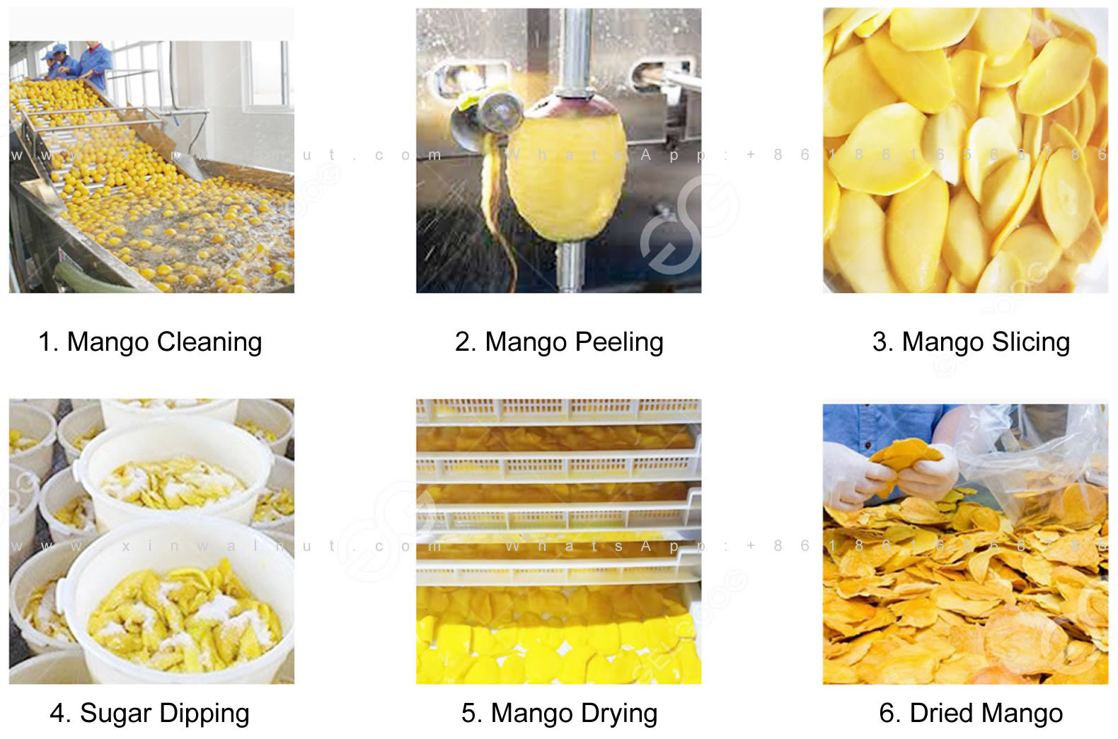 Dried Mango Processing Line