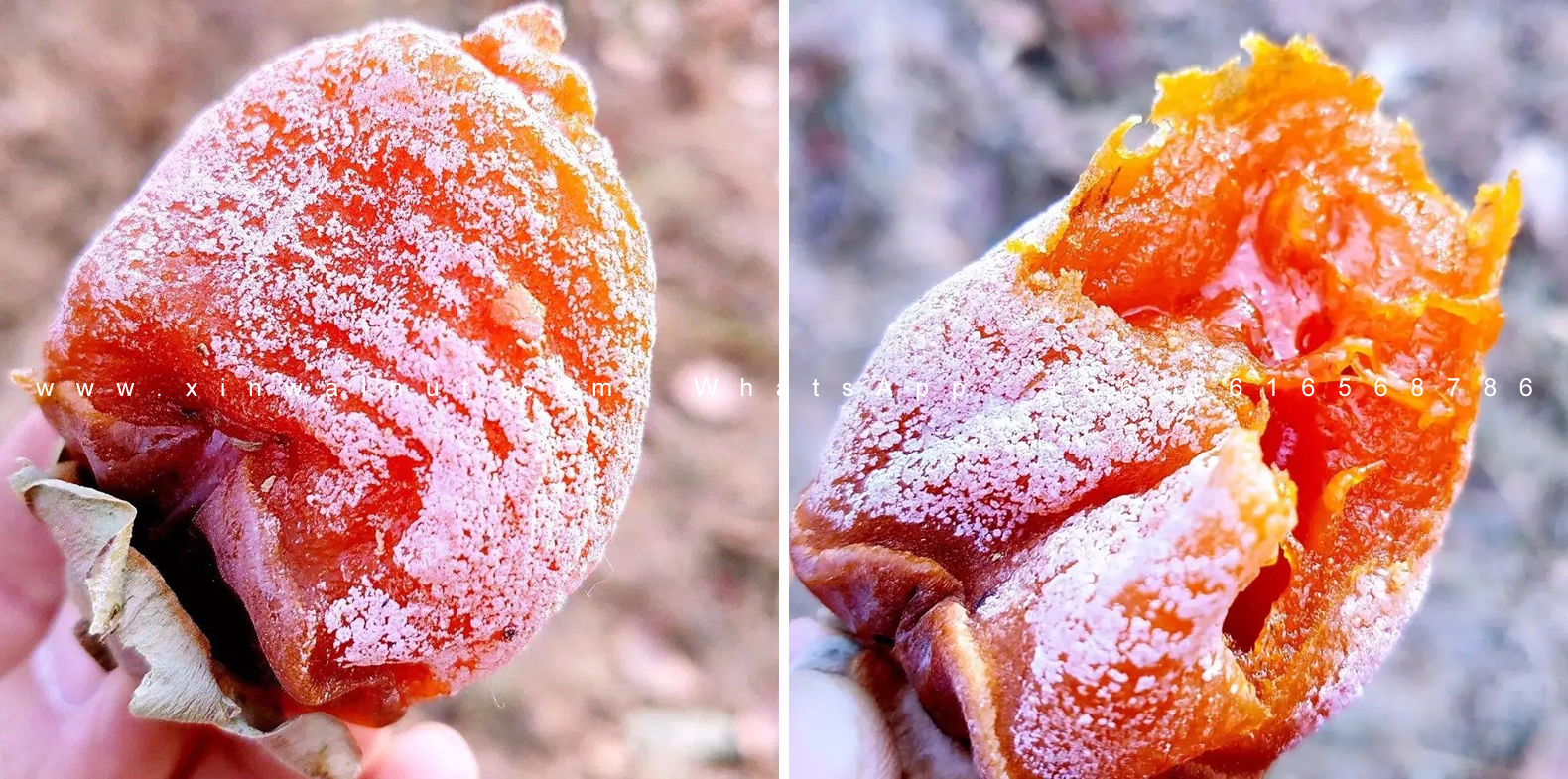 Dried Persimmon Japan