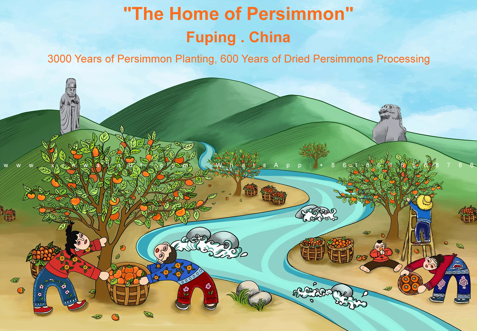 Fuping Dried Persimmon Processing History