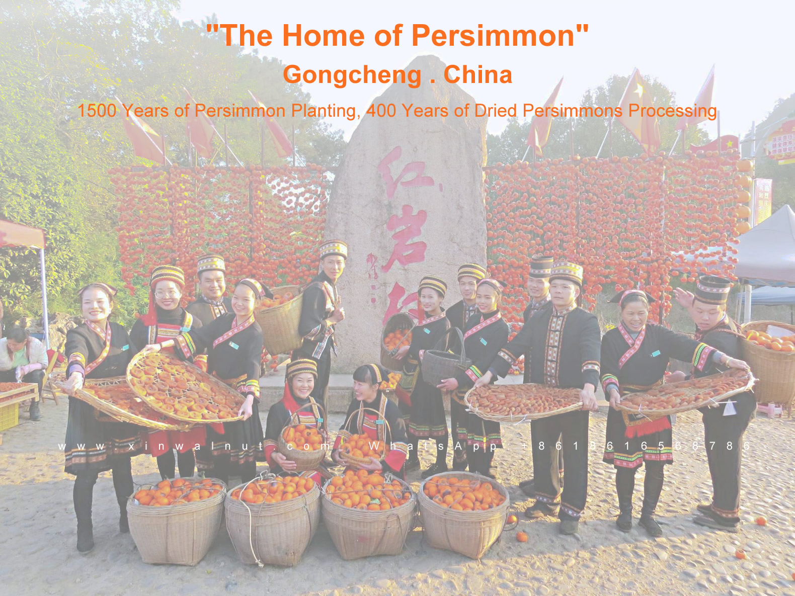 Fuping Dried Persimmon Processing History