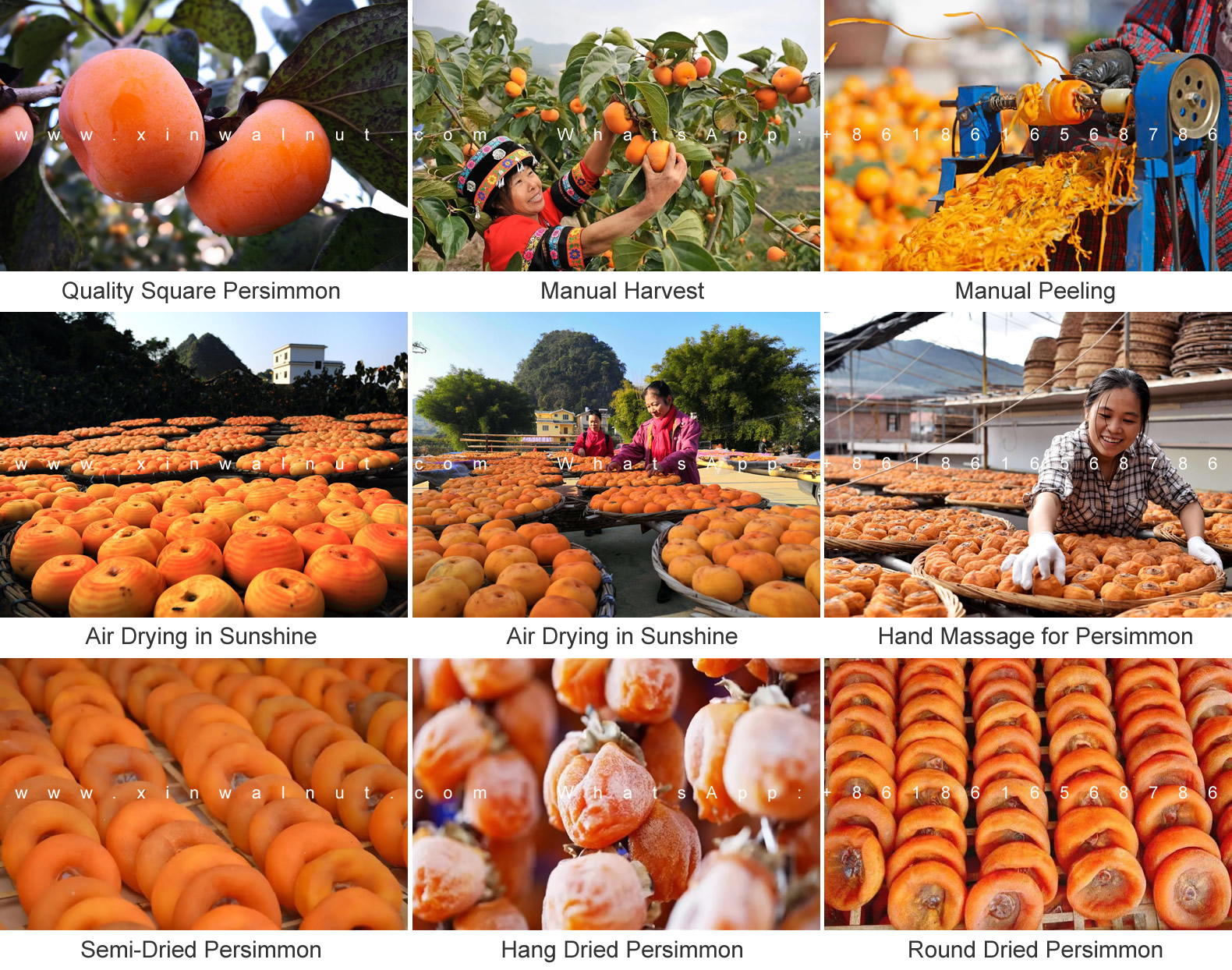 How to Make Hoshigaki Dried Persimmon