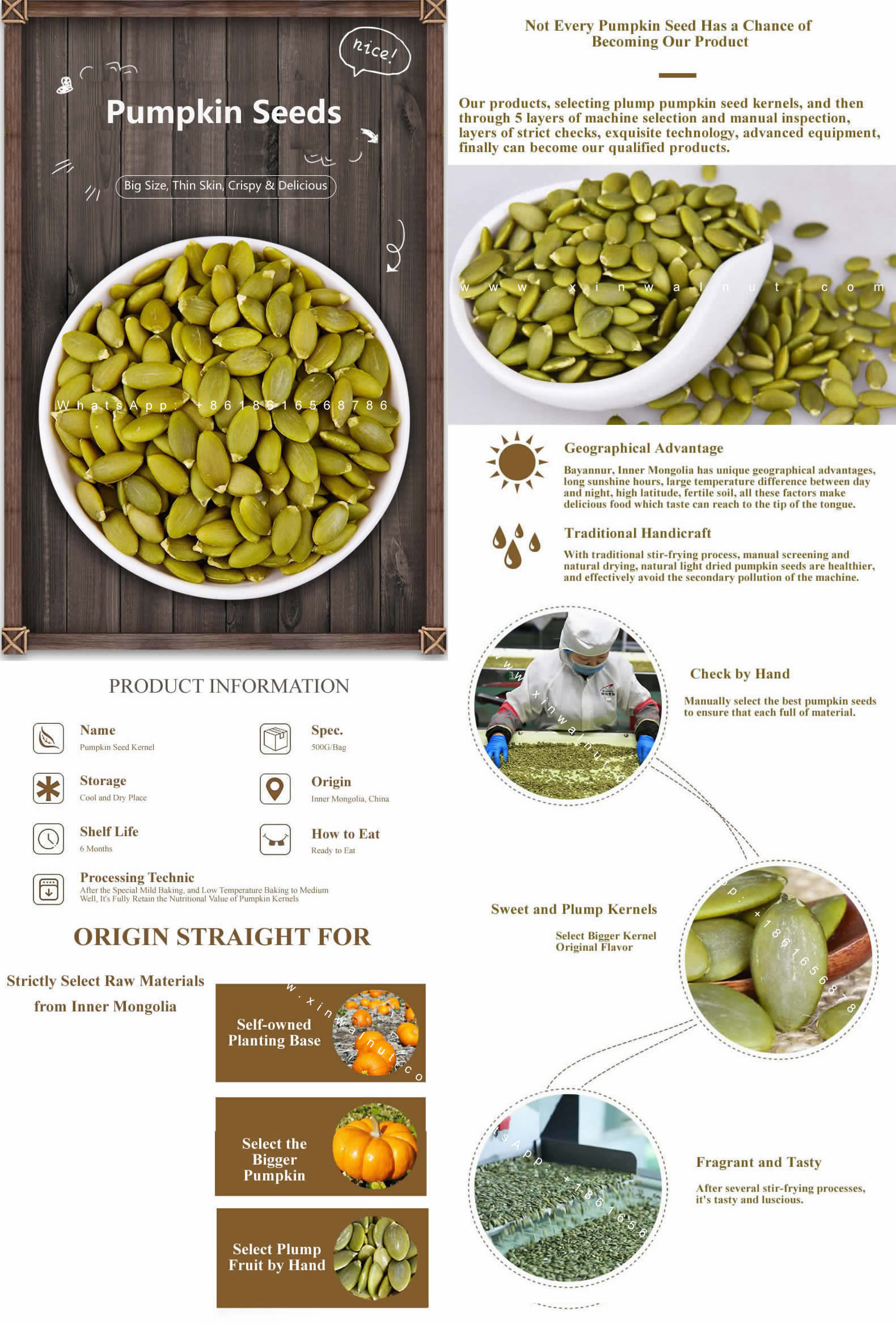 Pumpkin Seeds Shelled VS Unshelled