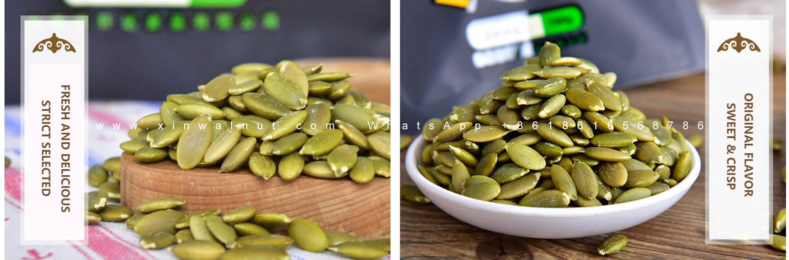 Pumpkin Seeds Bulk Price