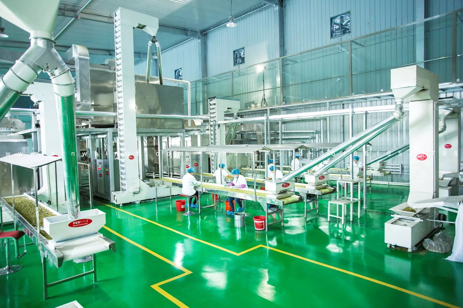 Pumpkin Seeds Processing Line