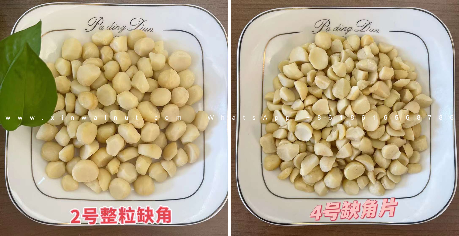 2022 New Crop Macadamia Nuts-02