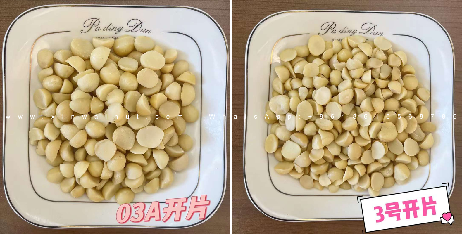 2022 New Crop Macadamia Nuts-03