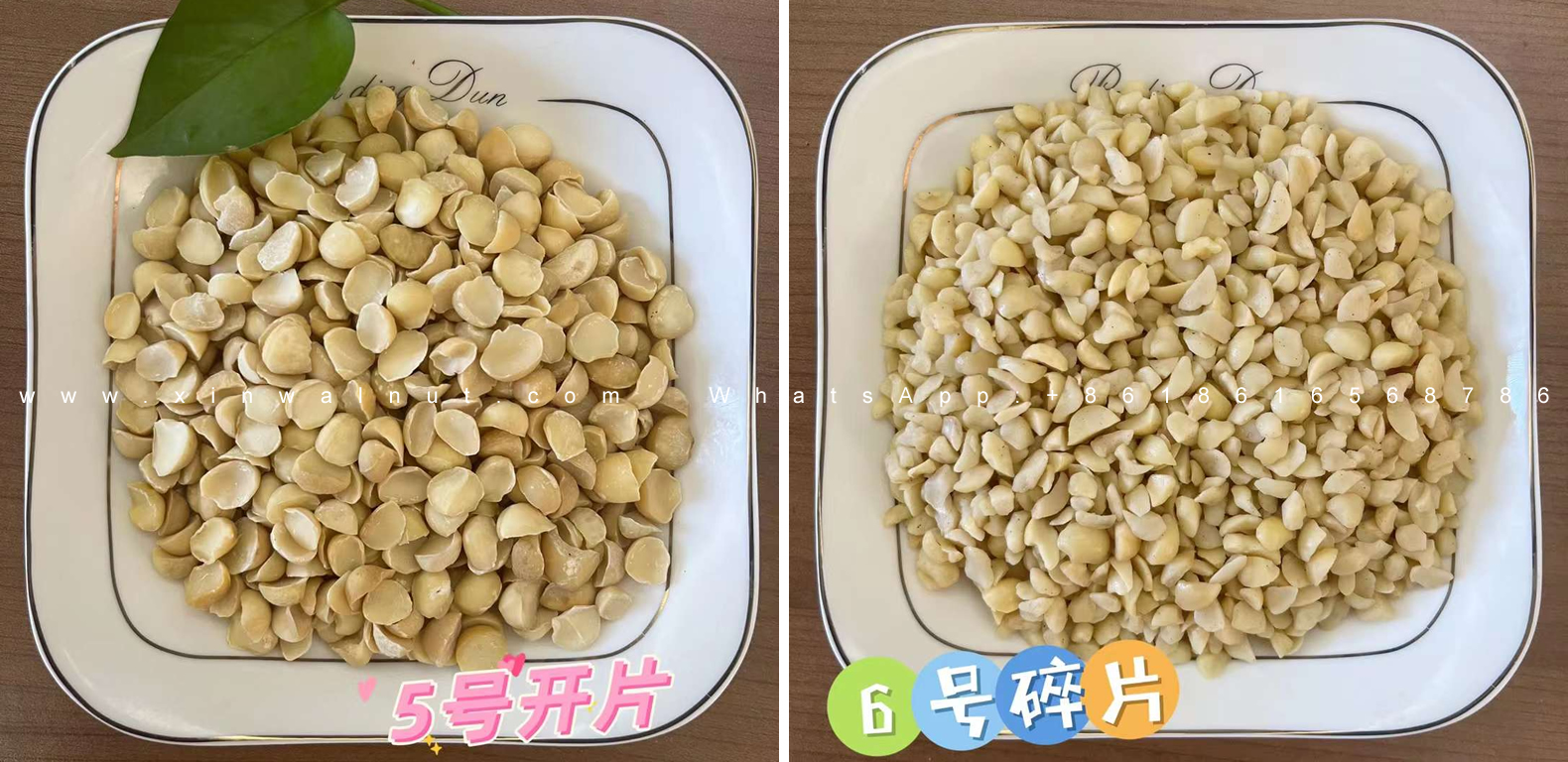 2022 New Crop Macadamia Nuts-04