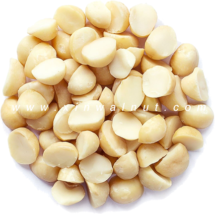 2022 New Crop Macadamia Nuts