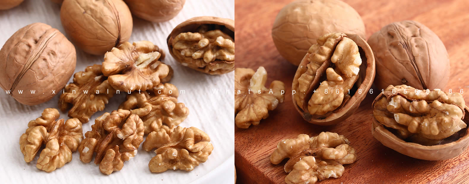 Xin2 walnut kernel halves for sale