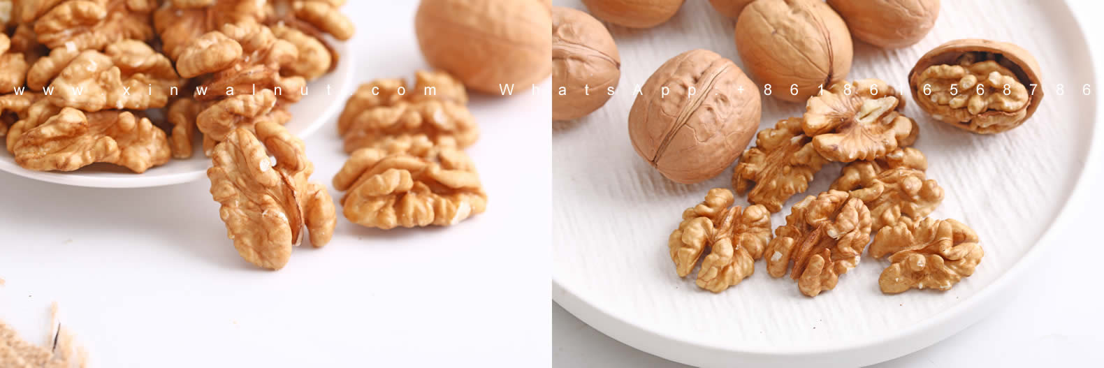 Xin2 Walnut Kernels Light Halves