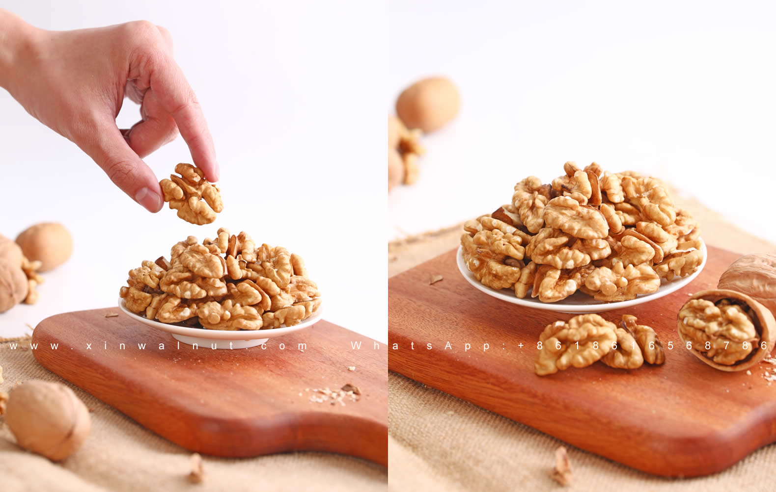 Xinjiang Walnut Kernels Light Quarters