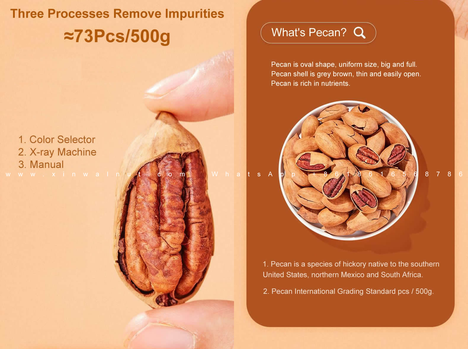 Pecan Recipes